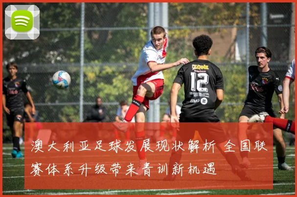 澳大利亚足球发展现状解析 全国联赛体系升级带来青训新机遇