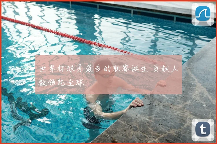 世界杯球员最多的联赛诞生 贡献人数领跑全球
