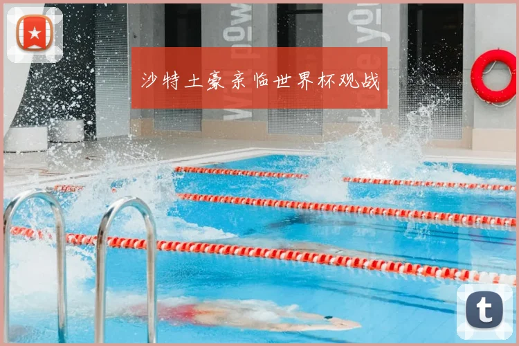 沙特土豪亲临世界杯观战