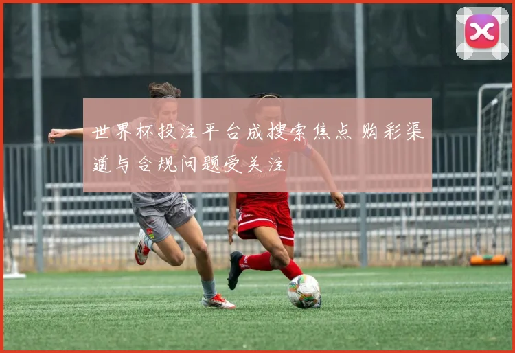 世界杯投注平台成搜索焦点 购彩渠道与合规问题受关注