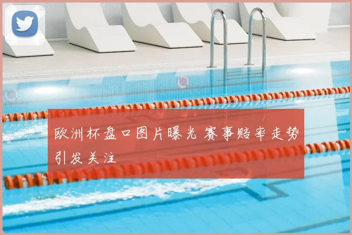 欧洲杯盘口图片曝光 赛事赔率走势引发关注
