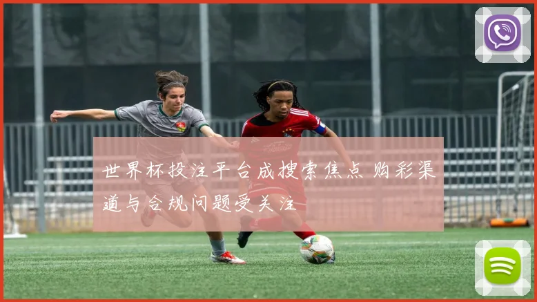 世界杯投注平台成搜索焦点 购彩渠道与合规问题受关注