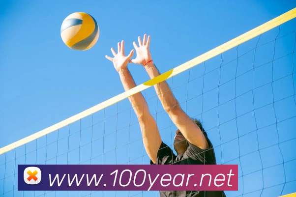 kaiyun官方网站服务体系